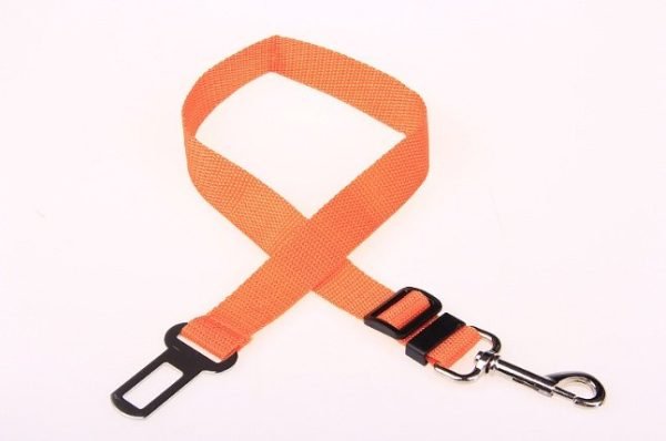 Fixed Strap Polyester Dog Strap Dog Leash Dog Leash - Image 8