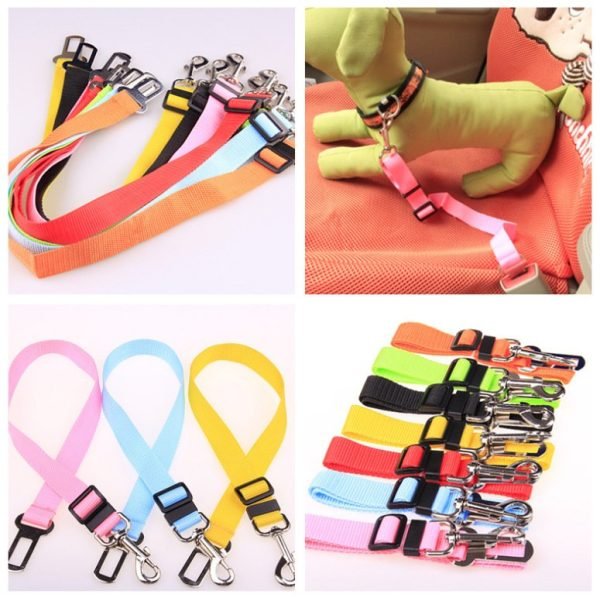 Fixed Strap Polyester Dog Strap Dog Leash Dog Leash - Image 3