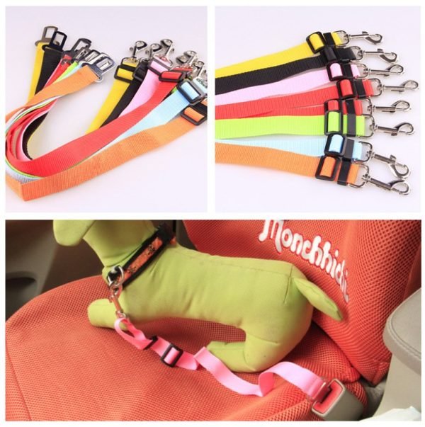 Fixed Strap Polyester Dog Strap Dog Leash Dog Leash - Image 4