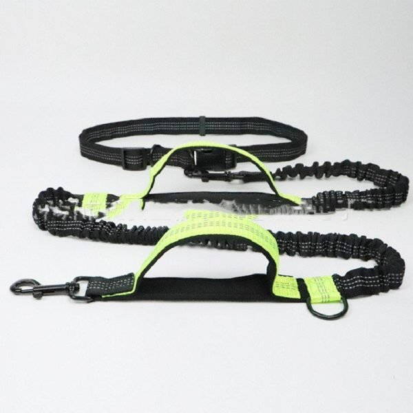 Pet Products Pet Traction Rope Multifunctional - Image 4