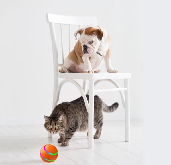 Pet New Cat Wicked Ball Toy Intelligent Ball USB Cat Toys Self Rotating Ball Automatic Rotation Ball - Image 3