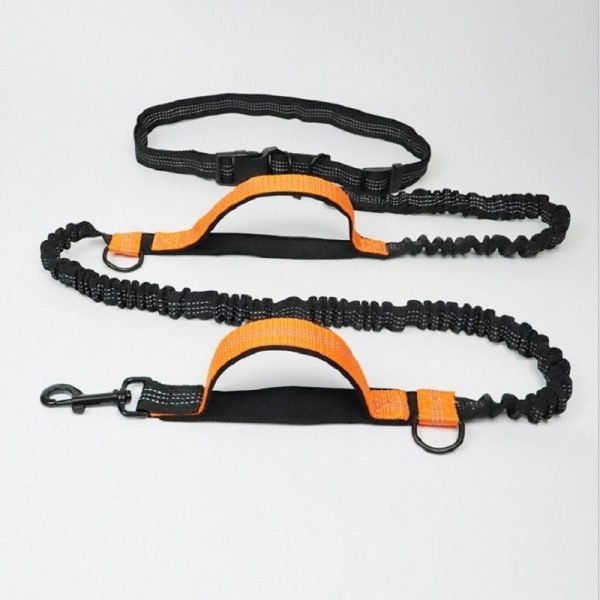 Pet Products Pet Traction Rope Multifunctional - Image 6