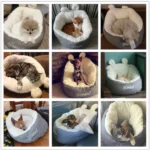 Bedding