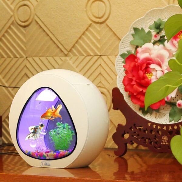 Desktop fish tank aquarium - Image 9