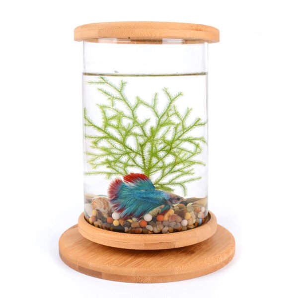 Small Office Glass Aquarium Bamboo Base Mini Fish Tank Decoration Fish Bowl - Image 2