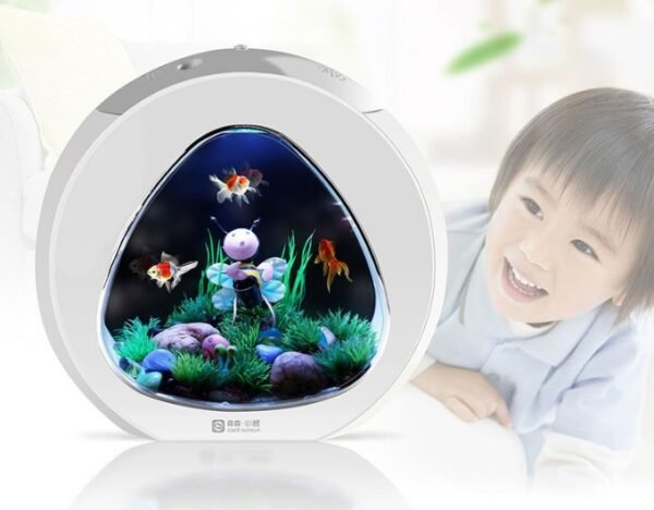 Desktop fish tank aquarium - Image 5