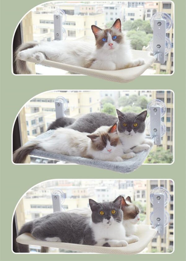 Cat Suction Cup Window Glass Hammock Pet Cat Pets Products - Image 3