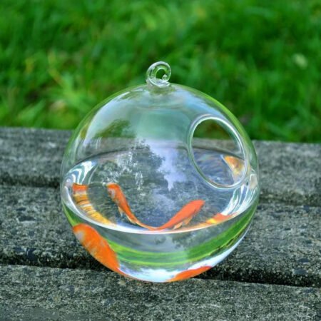 Hanging Glass Vase Fish Tank - Image 2