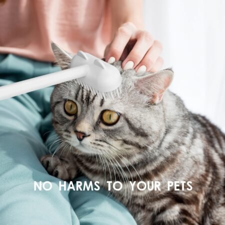Pet Supplies Comb Sticker Creative Funny Cat Toy Pets Toys - Image 6