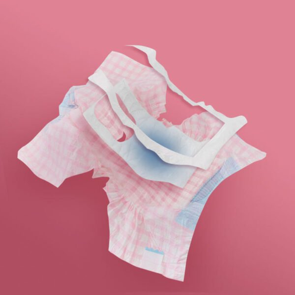 Pet Diapers Teddy Menstrual Supplies - Image 4