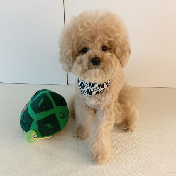 Pet Hidden Food Sniff New Turtle Hidden Food Toy - Image 2