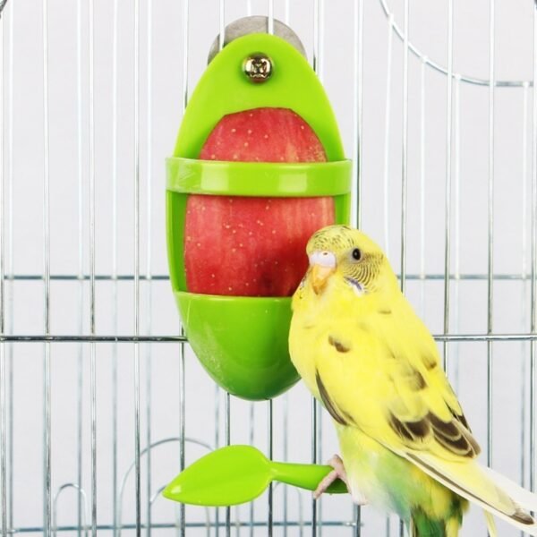 Parrot Food Rack Bird Cuttlefish Skeleton Food Box - Image 6