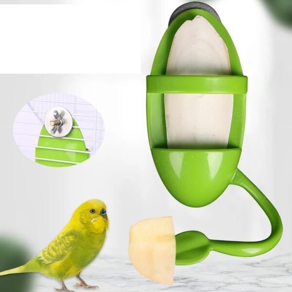 Parrot Food Rack Bird Cuttlefish Skeleton Food Box - Image 8