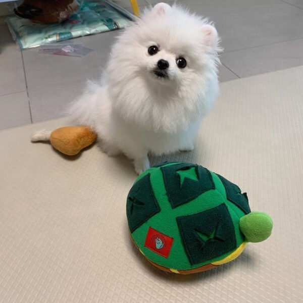 Pet Hidden Food Sniff New Turtle Hidden Food Toy - Image 4