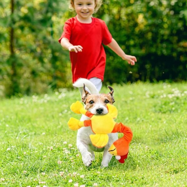 Pets Dog Toys Screaming Chicken Sound Toy Puppy Bite Resistant Chew Toy Interactive Squeaky Dog Toy Puppy Dog Accessories - Image 2