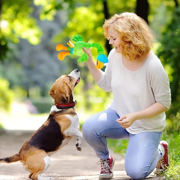Pets Dog Toys Screaming Chicken Sound Toy Puppy Bite Resistant Chew Toy Interactive Squeaky Dog Toy Puppy Dog Accessories - Image 7