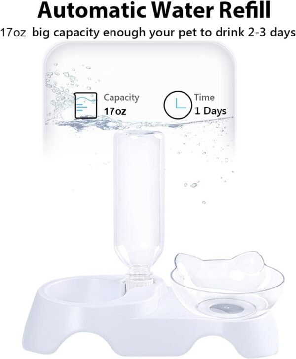 Double Dog Cat Bowls Pets Water And Food Bowl Set 15 Tilted Water And Food Bowl Set With Automatic Waterer Bottle For Small Or Medium Size Dogs Cats - Image 9