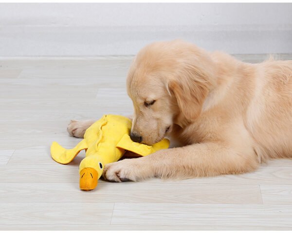 Missing Food Toys - Image 4