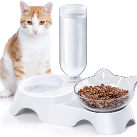 Double Dog Cat Bowls Pets Water And Food Bowl Set 15 Tilted Water And Food Bowl Set With Automatic Waterer Bottle For Small Or Medium Size Dogs Cats