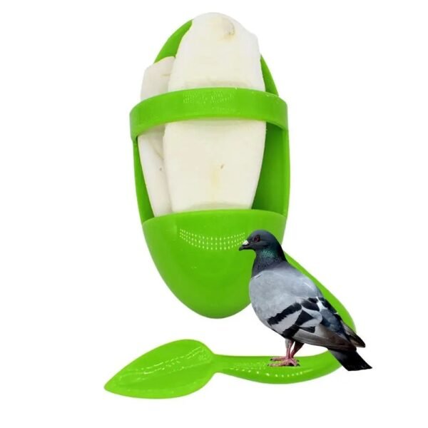 Parrot Food Rack Bird Cuttlefish Skeleton Food Box - Image 10