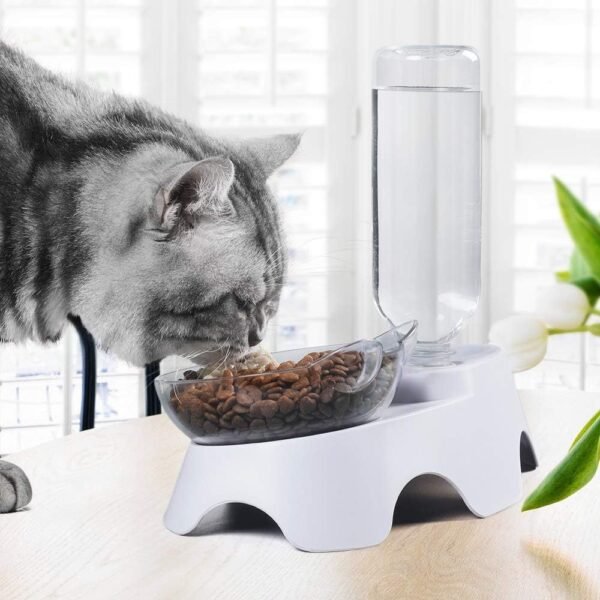 Double Dog Cat Bowls Pets Water And Food Bowl Set 15 Tilted Water And Food Bowl Set With Automatic Waterer Bottle For Small Or Medium Size Dogs Cats - Image 4