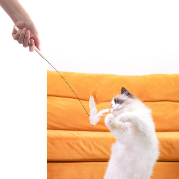 Household Fixed Pet Products Interactive Toys - Image 4