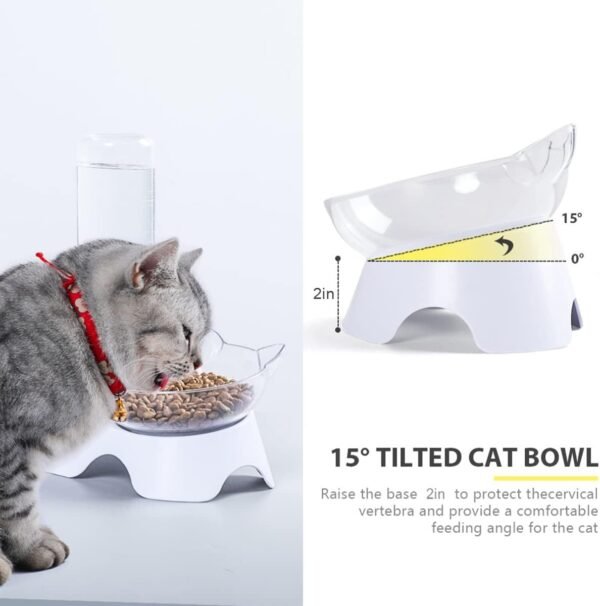 Double Dog Cat Bowls Pets Water And Food Bowl Set 15 Tilted Water And Food Bowl Set With Automatic Waterer Bottle For Small Or Medium Size Dogs Cats - Image 6