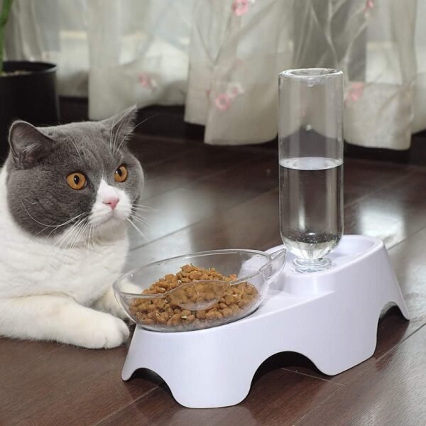Double Dog Cat Bowls Pets Water And Food Bowl Set 15 Tilted Water And Food Bowl Set With Automatic Waterer Bottle For Small Or Medium Size Dogs Cats - Image 5