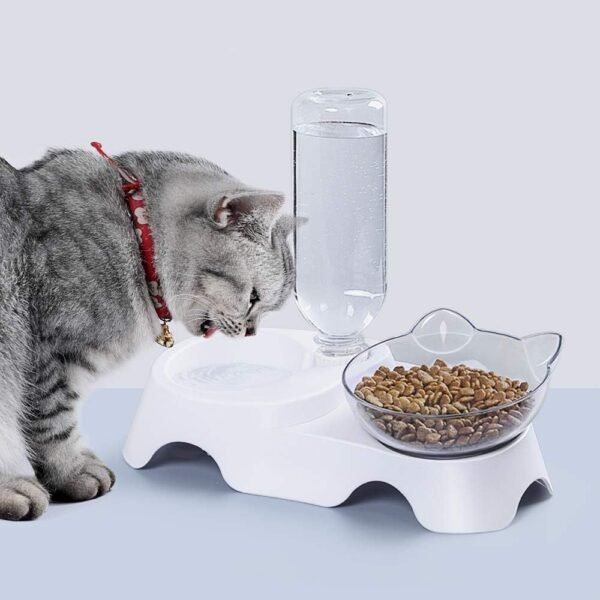 Double Dog Cat Bowls Pets Water And Food Bowl Set 15 Tilted Water And Food Bowl Set With Automatic Waterer Bottle For Small Or Medium Size Dogs Cats - Image 8