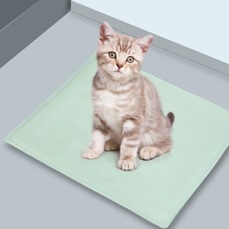 How to Choose the Perfect Pet Bed
