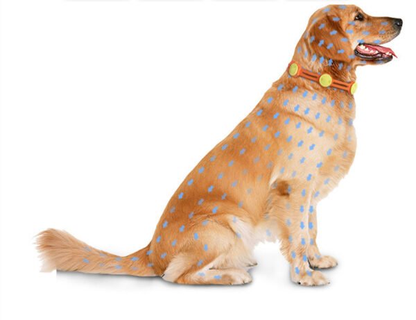 Pet Insect Repellent Collar – Cat & Dog Anti Flea Collar - Image 5