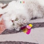Feather Sequins Ring Paper Bells Plush Ball