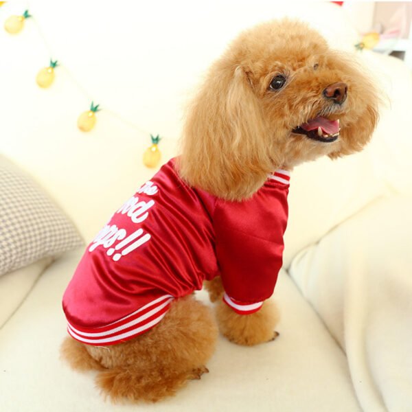 Thick puppies for small puppies and cats - Image 4