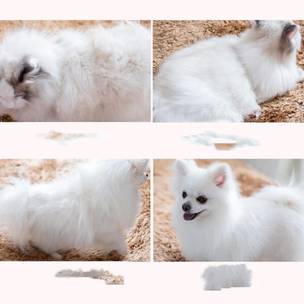 Golden Retriever Comb Brush Dog Supplies - Image 3