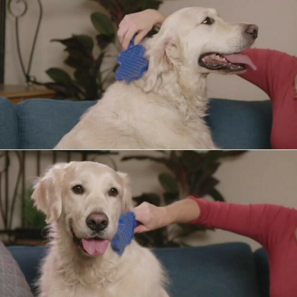 Pet Hair Remover Brush Gentle Pet Grooming Brush - Image 5