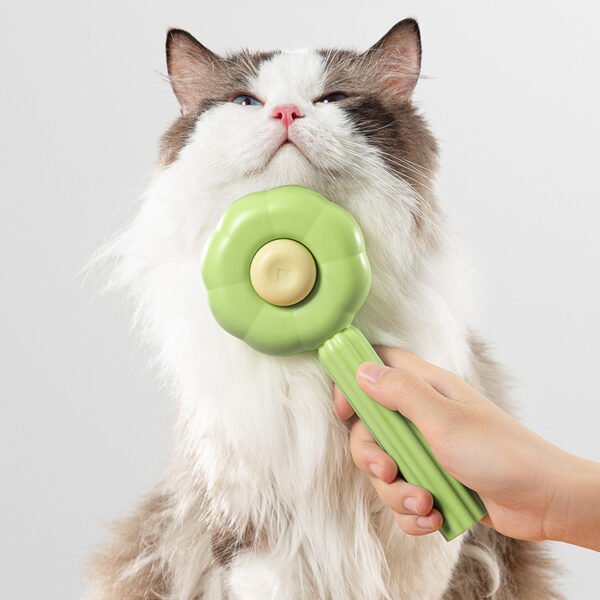 Cat Comb