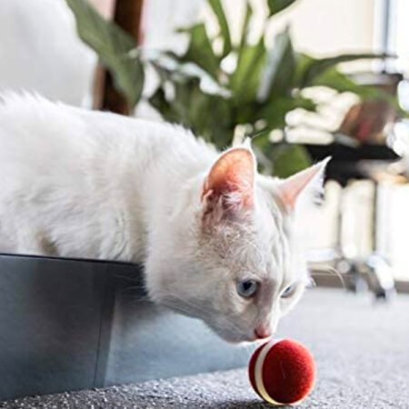 Smart Pet Products For Playing Cat Balls - Image 5