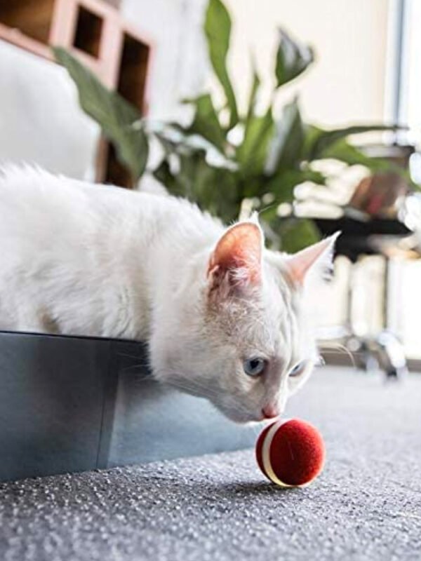 Smart Pet Products For Playing Cat Balls - Image 5