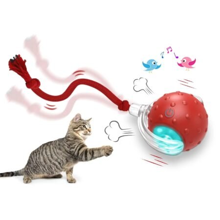 interactive cat toy ball
