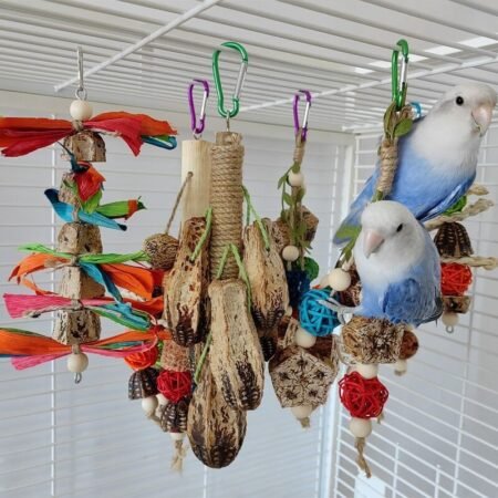 Parrot Toys