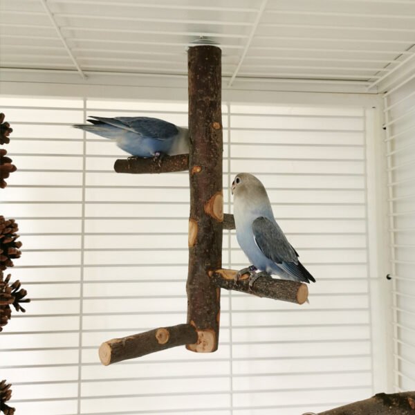 Parrot Bird Wood Stand Pole Toy – Natural Wooden Perch for Birds - Image 2