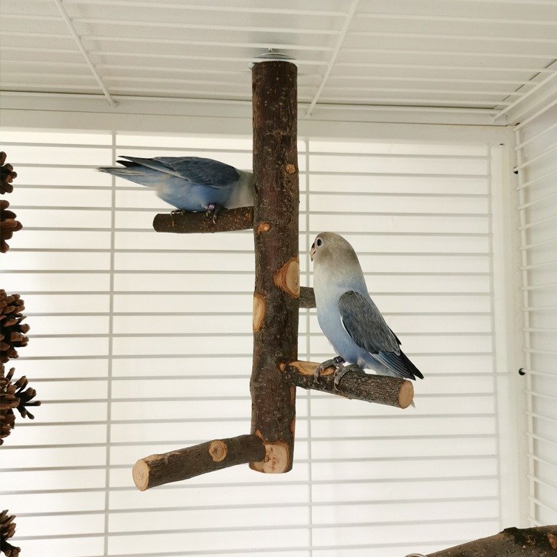 Parrot Bird Wood Stand Pole Toy – Natural Wooden Perch for Birds - Image 2