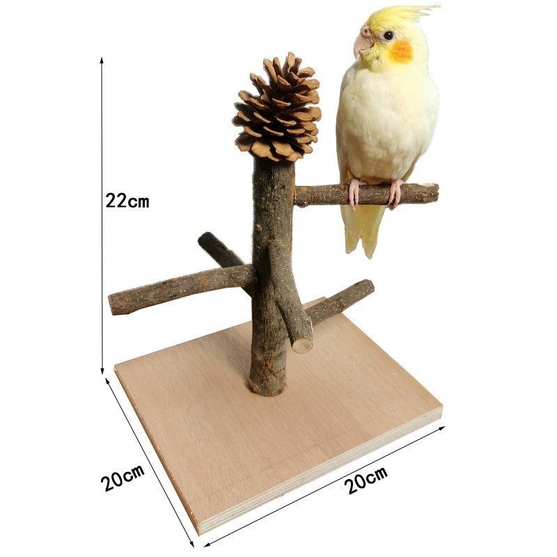 Solid Wood Parrot Training Station – Bird Shelf & Toys - Image 7