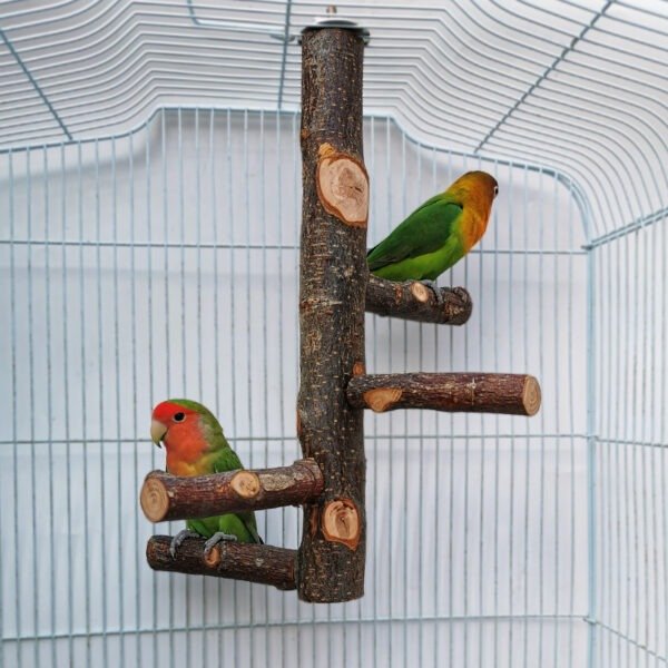 Parrot Bird Wood Stand Pole Toy – Natural Wooden Perch for Birds - Image 3