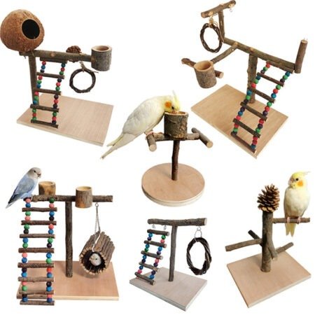 Parrot Training Station
