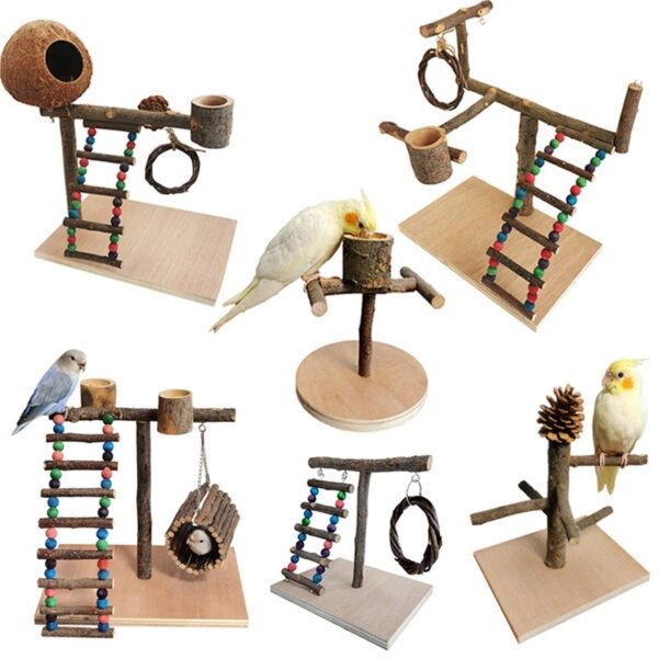 Parrot Training Station