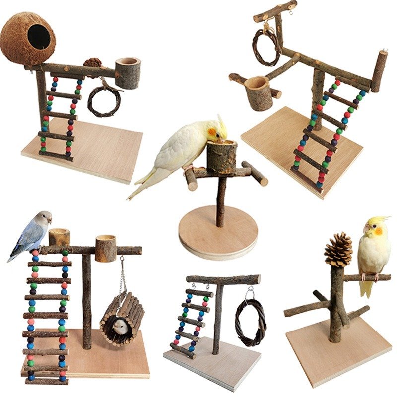 Parrot Training Station