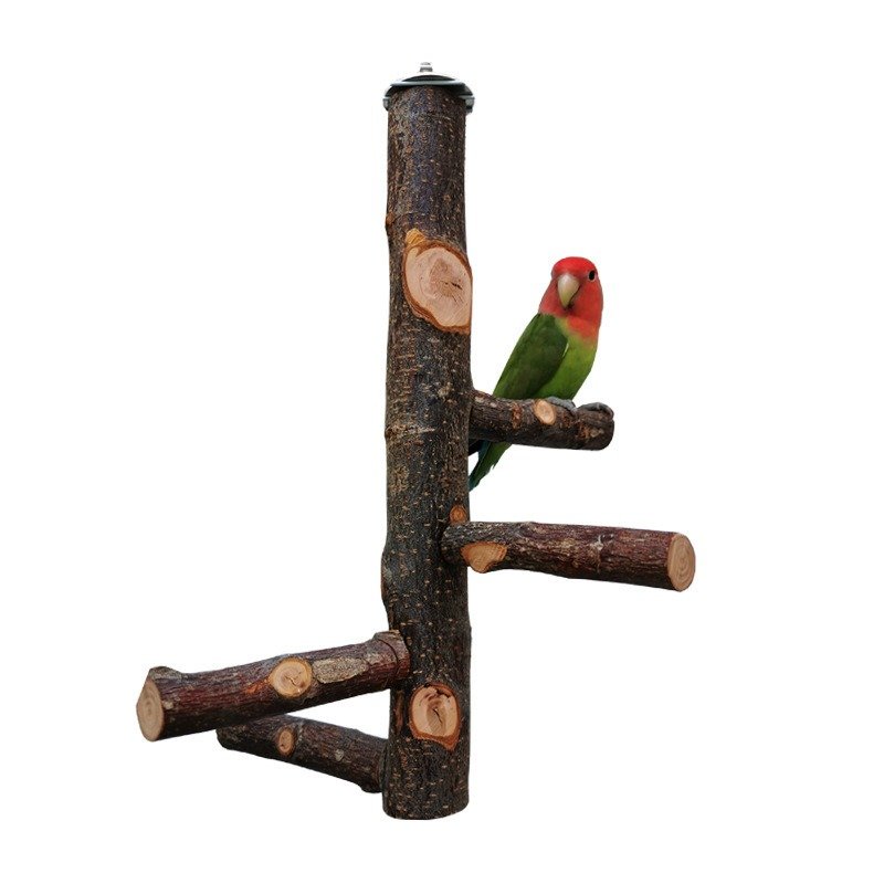 Parrot Bird Wood Stand Pole Toy – Natural Wooden Perch for Birds - Image 5