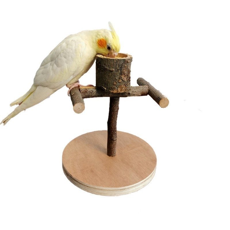 Solid Wood Parrot Training Station – Bird Shelf & Toys - Image 4