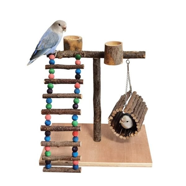 Solid Wood Parrot Training Station – Bird Shelf & Toys - Image 2